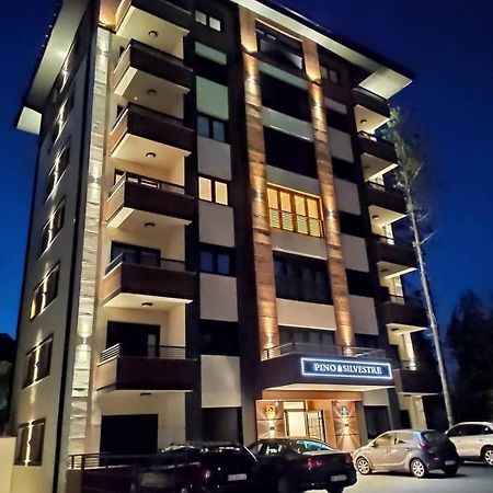 Vila Pino Silvestre Zlatibor Exterior foto